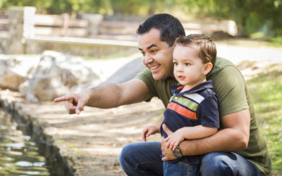 Joint Attention, Imitation and Toy Play