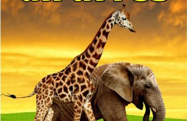 What are the Best Books for Toddlers with Autism?
